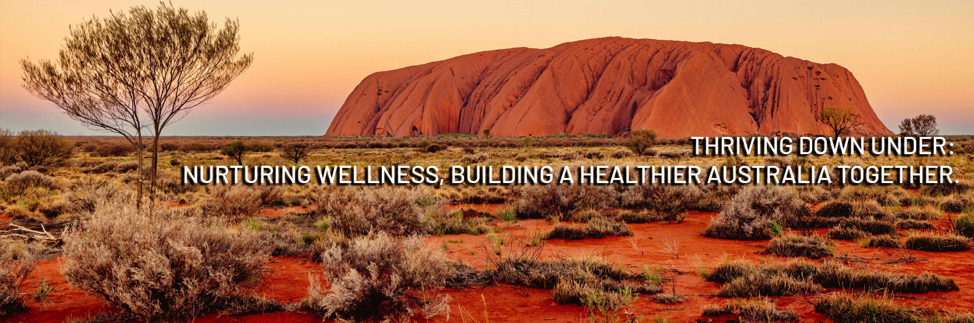 australia_banner_01